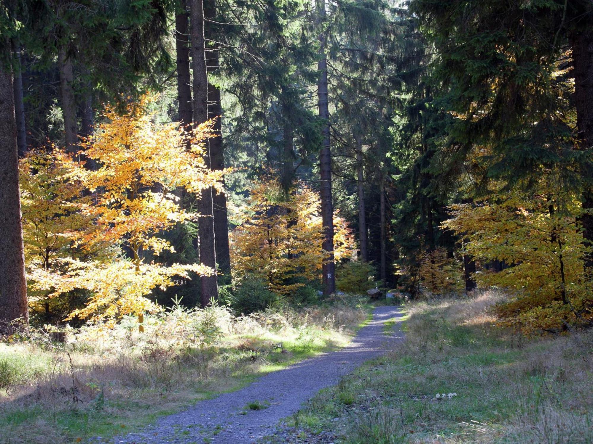 Apartment In Heubach In The Forest Gießübel 외부 사진